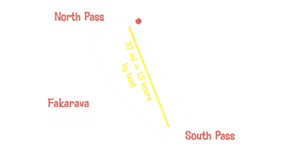 DSF map