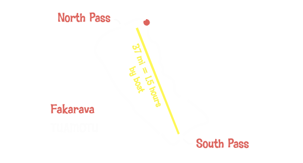 DSF map