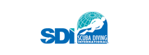 SDI